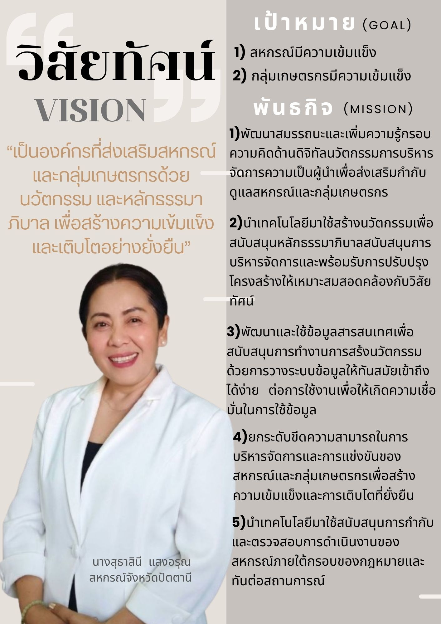 vision 5