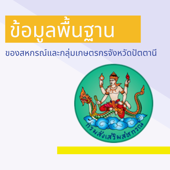 ข้อมูลพื้นฐาน