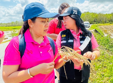 ติดตามการดำเนินงานโครงการส่งเสริมและพัฒนาสินค้าเกษตร ... พารามิเตอร์รูปภาพ 7