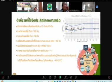 เข้าร่วมประชุมโครงการประชุมถ่ายทอดความรู้เพื่อยกระดับแปลงใหญ่ด้วยเกษตรสมัยใหม่/เกษตรอัจฉริยะและการบริหารจัดการกลุ่ม รุ่นที่ 4 ... พารามิเตอร์รูปภาพ 2