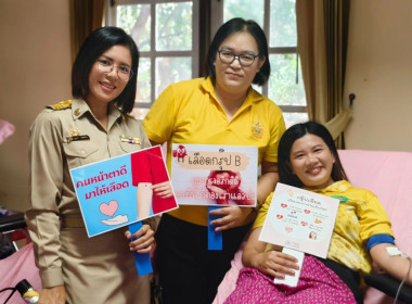 ปัตตานี - ... พารามิเตอร์รูปภาพ 7