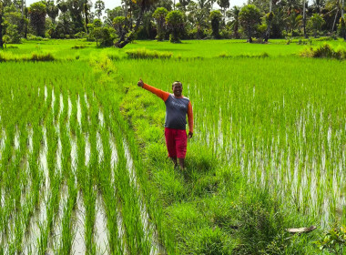 เข้าติดตามโครงการแก้ไขปัญหาหนี้สินและพัฒนาคุณภาพชีวิตสมาชิกสหกรณ์/กลุ่มเกษตรกร ... พารามิเตอร์รูปภาพ 1