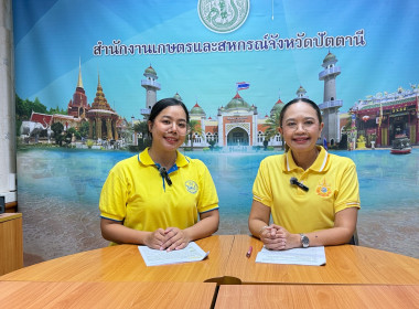 “กระทรวงเกษตรฯ สรรหามาเล่า” ... พารามิเตอร์รูปภาพ 3