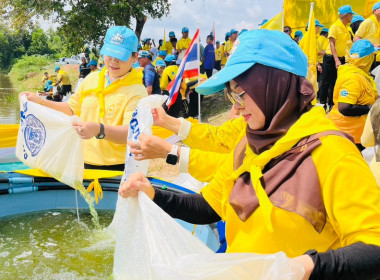 เข้าร่วมพิธีปล่อยพันธุ์สัตว์น้ำ เนื่องในวันเฉลิมพระชนมพรรษา พารามิเตอร์รูปภาพ 9