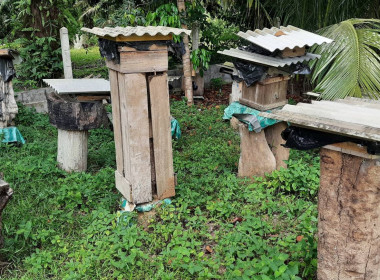 เข้าร่วมประชุมโครงการพัฒนาศักยภาพสถานประกอบการผลิตภัณฑ์สุขภาพและผลิตภัณฑ์สุขภาพที่เป็นนวัตกรรม ... พารามิเตอร์รูปภาพ 4