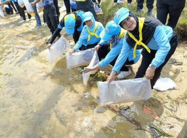 ร่วมพิธีปล่อยพันธ์ุสัตว์น้ำ ... พารามิเตอร์รูปภาพ 2