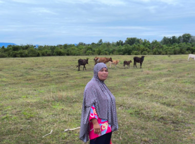 เข้าติดตามผลการใช้เงินกู้กองทุนพัฒนาสหกรณ์ พารามิเตอร์รูปภาพ 1