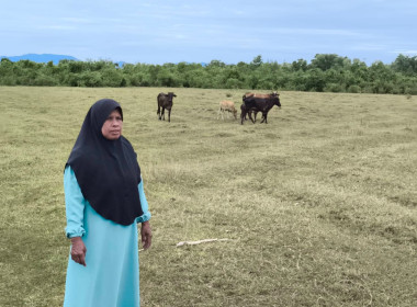 เข้าติดตามผลการใช้เงินกู้กองทุนพัฒนาสหกรณ์ พารามิเตอร์รูปภาพ 2