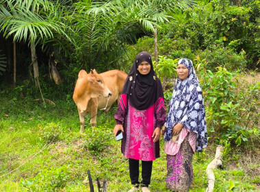เข้าตรวจเอกสารสัญญาและติดตามผลการใช้เงินกู้กองทุนพัฒนาสหกรณ์ ของสหกรณ์การเกษตรกูแบสีราพัฒนา จำกัด ... พารามิเตอร์รูปภาพ 2