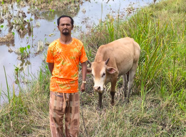 เข้าตรวจเอกสารสัญญาและติดตามผลการใช้เงินกู้กองทุนพัฒนาสหกรณ์ ของสหกรณ์การเกษตรกูแบสีราพัฒนา จำกัด ... พารามิเตอร์รูปภาพ 3