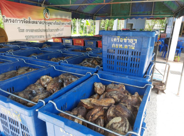 ร่วมเปิดตลาดประมูลยางก้อนถ้วยคุณภาพดี พารามิเตอร์รูปภาพ 4