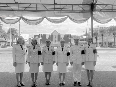 พระบาทสมเด็จพระเจ้าอยู่หัว ... พารามิเตอร์รูปภาพ 1