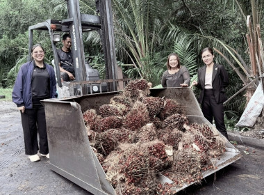 เข้าติดตามและตรวจสอบการใช้ประโยชน์จากอุปกรณ์การตลาดที่ได้รับการสนับสนุนจากภาครัฐ ... พารามิเตอร์รูปภาพ 2