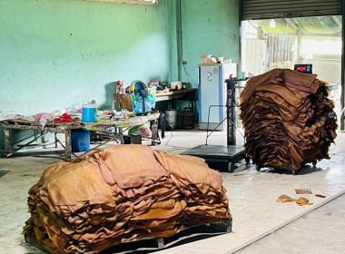 ติดตามการใช้ประโยชน์อุปกรณ์การตลาด ประจำปี พ.ศ. 2569 พารามิเตอร์รูปภาพ 2