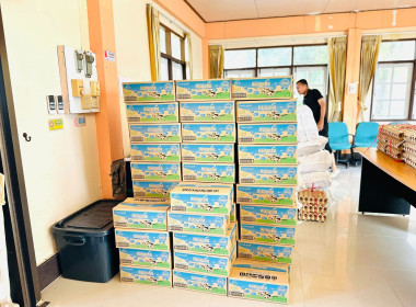 “ช่วยเหลือผู้ประสบอุทกภัยน้ำท่วมในพื้นที่จังหวัดปัตตานี” พารามิเตอร์รูปภาพ 6