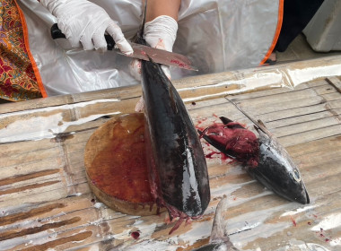 เข้าสอนแนะนำ การแปรรูปปลาหวาน ... พารามิเตอร์รูปภาพ 6