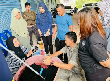 ดำเนินการจัด ... พารามิเตอร์รูปภาพ 4