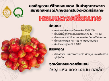 เข้าร่วมประชุมหารือแนวทางการบริหารจัดการผลผลิตหอมแดงในพื้นที่จังหวัดศรีสะเกษ ... พารามิเตอร์รูปภาพ 3