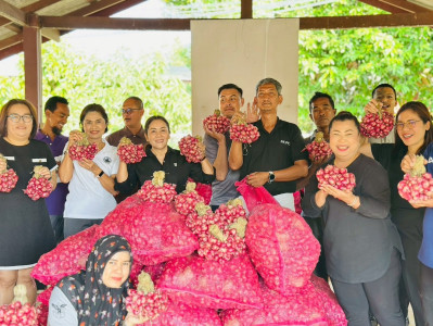 ร่วมกิจกรรมการบริหารจัดการผลผลิตหอมแดงจากเกษตรกรผู้ปลูกหอมแดงจังหวัดศรีสะเกษ (หอมจุก) จำนวน 3.5 ตัน ... พารามิเตอร์รูปภาพ 1