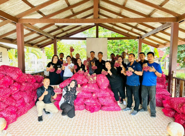 ร่วมกิจกรรมการบริหารจัดการผลผลิตหอมแดงจากเกษตรกรผู้ปลูกหอมแดงจังหวัดศรีสะเกษ (หอมจุก) จำนวน 3.5 ตัน ... พารามิเตอร์รูปภาพ 1