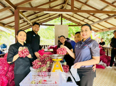 ร่วมกิจกรรมการบริหารจัดการผลผลิตหอมแดงจากเกษตรกรผู้ปลูกหอมแดงจังหวัดศรีสะเกษ (หอมจุก) จำนวน 3.5 ตัน ... พารามิเตอร์รูปภาพ 3