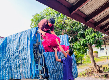 ร่วมกิจกรรมการบริหารจัดการผลผลิตหอมแดงจากเกษตรกรผู้ปลูกหอมแดงจังหวัดศรีสะเกษ (หอมจุก) จำนวน 3.5 ตัน ... พารามิเตอร์รูปภาพ 9