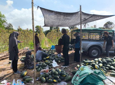 เข้าตรวจติดตามผลการใช้เงินกู้กองทุนพัฒนาสหกรณ์ ของ ... พารามิเตอร์รูปภาพ 3