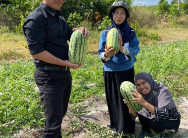 เข้าตรวจติดตามผลการใช้เงินกู้กองทุนพัฒนาสหกรณ์ ของ ... พารามิเตอร์รูปภาพ 5