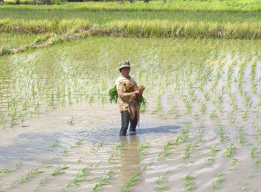 เข้าตรวจติดตามผลการใช้เงินกู้กองทุนพัฒนาสหกรณ์ ... พารามิเตอร์รูปภาพ 7