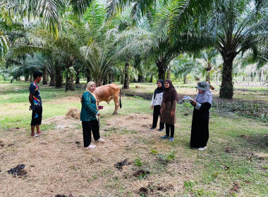 เข้าตรวจติดตามผลการใช้เงินกู้กองทุนพัฒนาสหกรณ์ ... พารามิเตอร์รูปภาพ 5
