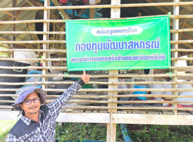 ร่วมจัดทำคลิปวีดิทัศน์เกี่ยวกับสหกรณ์ที่ได้รับการสนับสนุนเงินกู้กองทุนพัฒนาสหกรณ์ ... พารามิเตอร์รูปภาพ 1