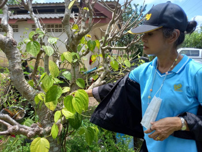 ติดตามการดำเนินกิจกรรมโครงการขับเคลื่อนการประยุกต์ใช้หลักปรัชญาของเศรษฐกิจพอเพียงในสหกรณ์และกลุ่มเกษตรกร ... พารามิเตอร์รูปภาพ 1