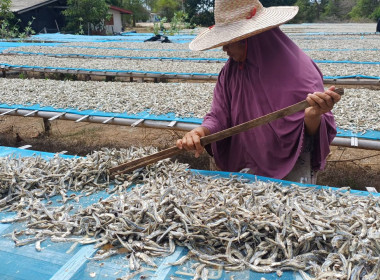 ร่วมจัดทำคลิปวีดิทัศน์เกี่ยวกับสหกรณ์ที่ได้รับการสนับสนุนเงินกู้กองทุนพัฒนาสหกรณ์ เพื่อเผยแพร่ผลการดำเนินงานและประชาสัมพันธ์การดำเนินงานของหน่วยงานและสหกรณ์ในพื้นที่ ... พารามิเตอร์รูปภาพ 2