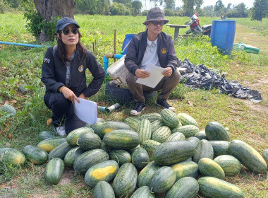 ร่วมจัดทำคลิปวีดิทัศน์เกี่ยวกับสหกรณ์ที่ได้รับการสนับสนุนเงินกู้กองทุนพัฒนาสหกรณ์ เพื่อเผยแพร่ผลการดำเนินงานและประชาสัมพันธ์การดำเนินงานของหน่วยงานและสหกรณ์ในพื้นที่ ... พารามิเตอร์รูปภาพ 4