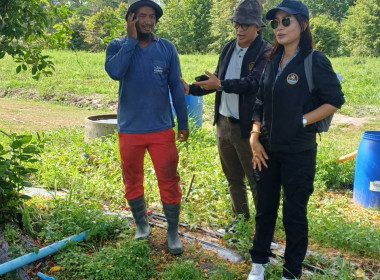 ร่วมจัดทำคลิปวีดิทัศน์เกี่ยวกับสหกรณ์ที่ได้รับการสนับสนุนเงินกู้กองทุนพัฒนาสหกรณ์ เพื่อเผยแพร่ผลการดำเนินงานและประชาสัมพันธ์การดำเนินงานของหน่วยงานและสหกรณ์ในพื้นที่ ... พารามิเตอร์รูปภาพ 7