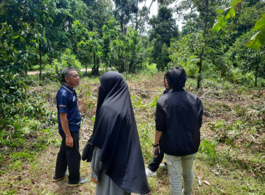 ตรวจเยี่ยมสวนมังคุดและสวนทุเรียนของสมาชิกสหกรณ์การเกษตรเพื่อการตลาดลูกค้า ธกส.ปัตตานี จำกัด ... พารามิเตอร์รูปภาพ 2