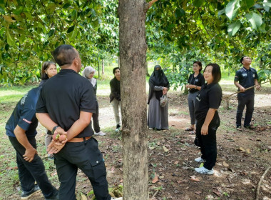 ตรวจเยี่ยมสวนมังคุดและสวนทุเรียนของสมาชิกสหกรณ์การเกษตรเพื่อการตลาดลูกค้า ธกส.ปัตตานี จำกัด ... พารามิเตอร์รูปภาพ 1