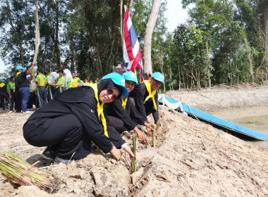 ร่วมกิจกรรมจิตอาสาบำเพ็ญสาธารณประโยชน์และสาธารณกุศล พารามิเตอร์รูปภาพ 4