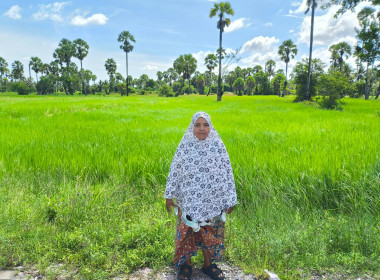 “ เข้าติดตามผลการใช้เงินกู้กองทุนพัฒนาสหกรณ์ ของ ... พารามิเตอร์รูปภาพ 8