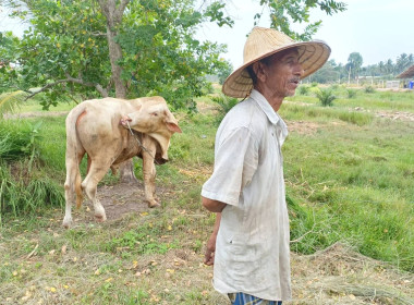 เข้าติดตามผลการใช้เงินกู้กองทุนพัฒนาสหกรณ์ ประจำปีงบประมาณ ... พารามิเตอร์รูปภาพ 6