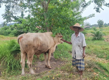 เข้าติดตามผลการใช้เงินกู้กองทุนพัฒนาสหกรณ์ ประจำปีงบประมาณ ... พารามิเตอร์รูปภาพ 3