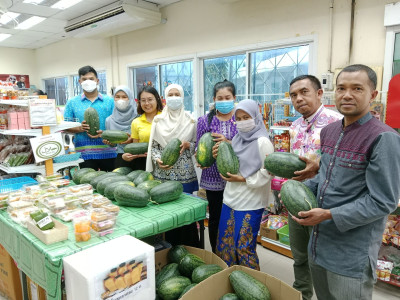 ร่วมกันนำผลผลิตทางการเกษตร แตงโมเมญ่า ... พารามิเตอร์รูปภาพ 1