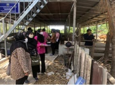 เข้าร่วมประกวดศูนย์เรียนรู้การเพิ่มประสิทธิภาพการผลิตสินค้าเกษตร ... พารามิเตอร์รูปภาพ 1