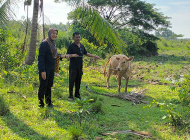 ติดตามการใช้เงินกู้กองทุนพัฒนาสหกรณ์ของสหกรณ์การเกษตรเมืองปัตตานี จำกัด ... พารามิเตอร์รูปภาพ 2