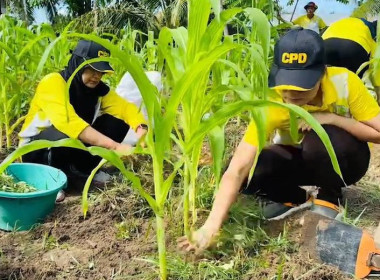 กิจกรรมวันรักต้นไม้ประจำปีของชาติ พ.ศ. 2566 พารามิเตอร์รูปภาพ 1