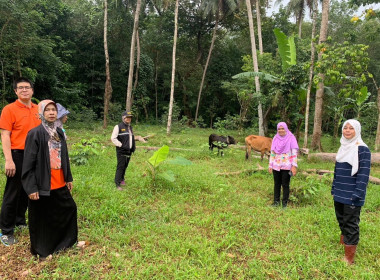 เข้าติดตามการใช้เงินกู้กองทุนพัฒนาวสหกรณ์ของสหกรณ์การเกษตรยะรัง จำกัด ... พารามิเตอร์รูปภาพ 4