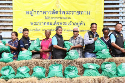 ช่วยเหลือเกษตรกรผู้เลี้ยงสัตว์ที่ประสบอุทกภัยในพื้นที่อำเภอแม่ลาน ... พารามิเตอร์รูปภาพ 1