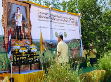 เข้าร่วมโครงการรณรงค์ปลูกหญ้าแฝกเฉลิมพระเกียรติพระบาทสมเด็จพระเจ้าอยู่หัวเนื่องในโอกาสมหามงคลเฉลิมพระชนมพรรษา 6 รอบ 28 กรกฎาคม 2567 ... พารามิเตอร์รูปภาพ 3