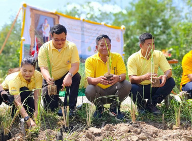 เข้าร่วมโครงการรณรงค์ปลูกหญ้าแฝกเฉลิมพระเกียรติพระบาทสมเด็จพระเจ้าอยู่หัวเนื่องในโอกาสมหามงคลเฉลิมพระชนมพรรษา 6 รอบ 28 กรกฎาคม 2567 ... พารามิเตอร์รูปภาพ 4