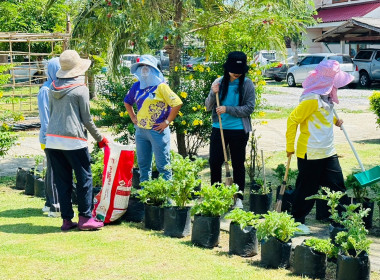 Big cleaning day พารามิเตอร์รูปภาพ 2